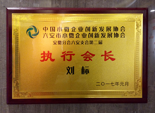 六安標(biāo)榜裝飾-執(zhí)行會(huì)長